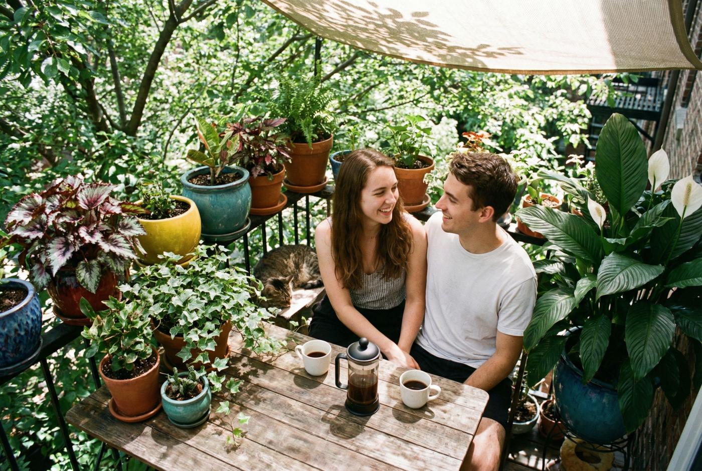 Quelles plantes choisir pour un balcon sans soleil ?